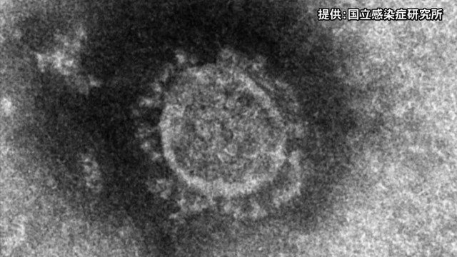 【速報】岡山県で1日当たり過去最多　31人の新型コロナ感染を確認