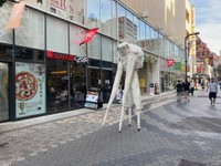 （せせらぎさん提供）