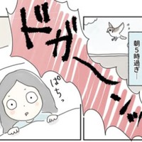 早朝5時、爆音で目を覚ましました／まめねこさん（@ma.me.ne.ko）提供