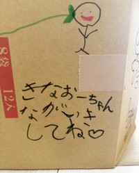 「ながいきしてね」 段ボール箱ハウスに書かれた文字（画像提供：きなことおだんごさん）