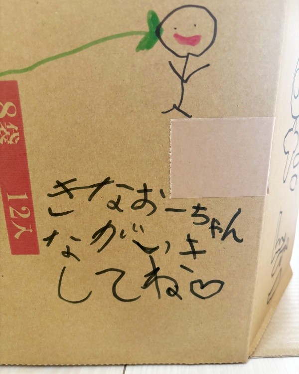 「ながいきしてね」 段ボール箱ハウスに書かれた文字（画像提供：きなことおだんごさん）