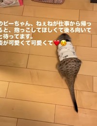 お姉ちゃんはいなくても、抱っこ待ち…！（提供：＠manaminnyさん）
