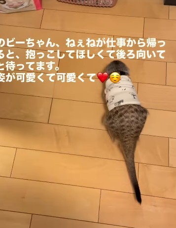 お姉ちゃんはいなくても、抱っこ待ち…！（提供：＠manaminnyさん）
