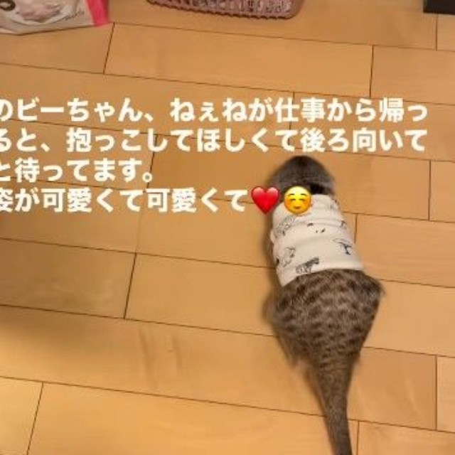 お姉ちゃんはいなくても、抱っこ待ち…！（提供：＠manaminnyさん）

