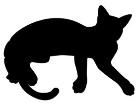 猫を多頭飼育、汚物を処理せず虐待か　自称デザイナー再逮捕