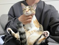 はんみちゃんは抱っこがお好き（「ととまるとはんみ」さん提供）
