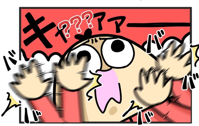 モロー反射でパニックになるワッパちゃん（ダルダルのダル子さん提供）