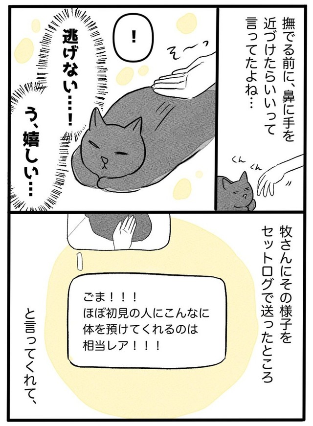 【漫画】『ネコと暮らした9日間』26（イゴカオリさん提供）