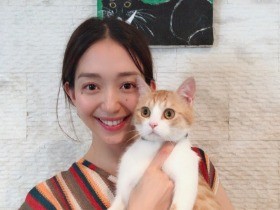 猫は人生になくてはならない存在　愛と癒やしで助けられて