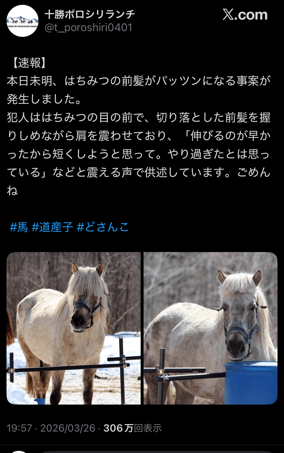 Xで紹介したところ大反響