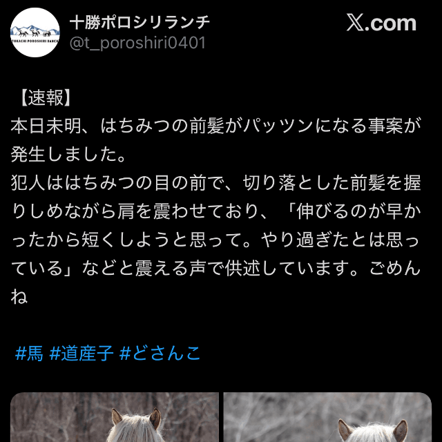 Xで紹介したところ大反響