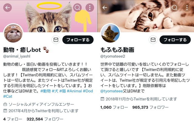 ペット画像の無断転載アカの目当てはカネ 「動物・癒しbot」「もふもふ