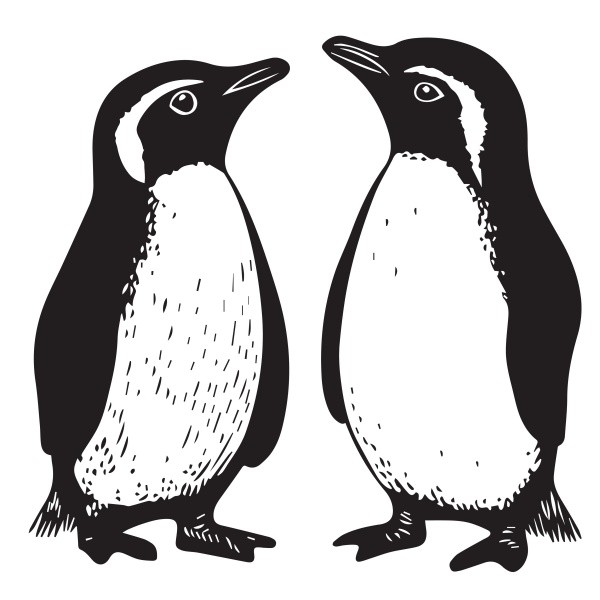 向かい合う2匹のペンギンーーキジトラ猫・ビターくんのおでこにも現る！？ （bima saputra:stock.adobe.com）