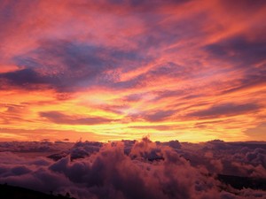 心の奥底でやってみたいと思っても、私は意図的に悪いことができない