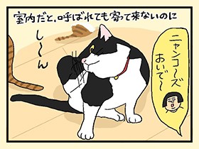 謎かわいい、外出時の儀式　やっぱ、猫じゃけぇ(49)