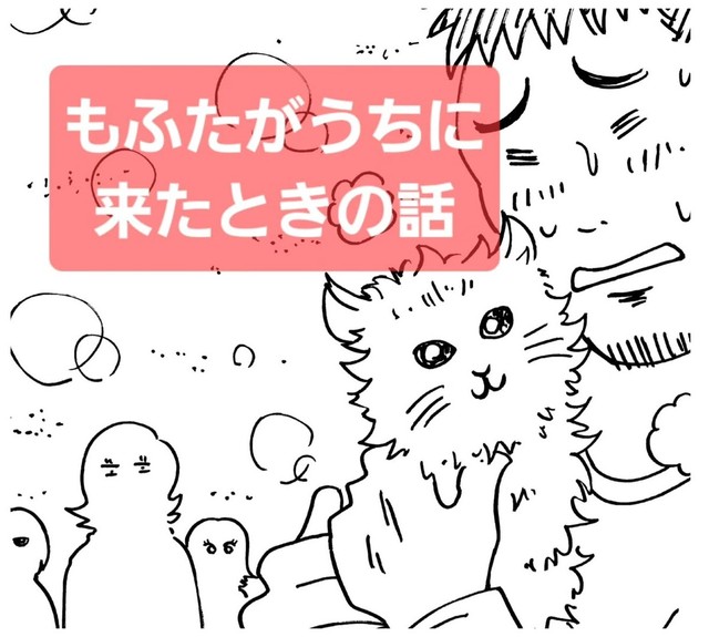 【漫画】『もふたがうちに来たときの話』1（横山了一さん提供）