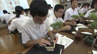 伝統産業「松盆栽」の魅力を感じて　中学生がワークショップ　高松市