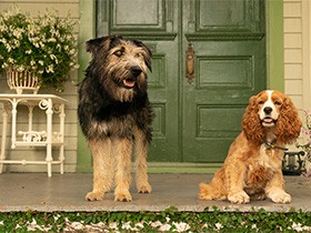 「生き方はいろいろなのさ」犬たちのキスシーンに胸キュン　話題の『わんわん物語』