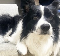 楓汰くんの「本当の家族」探しをスタートさせることに