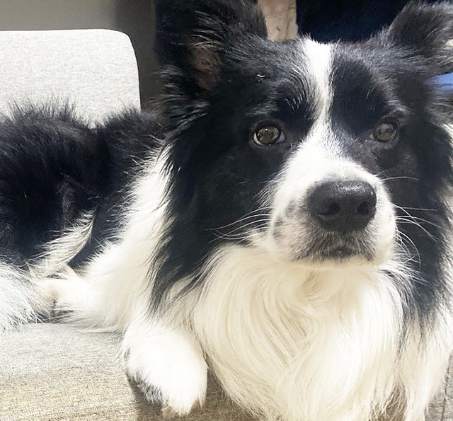 楓汰くんの「本当の家族」探しをスタートさせることに