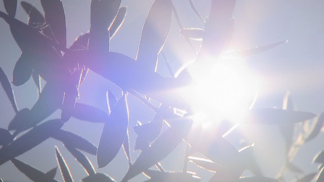 香川県で初の「熱中症警戒アラート」発表　20日にかけて食中毒警報を発令