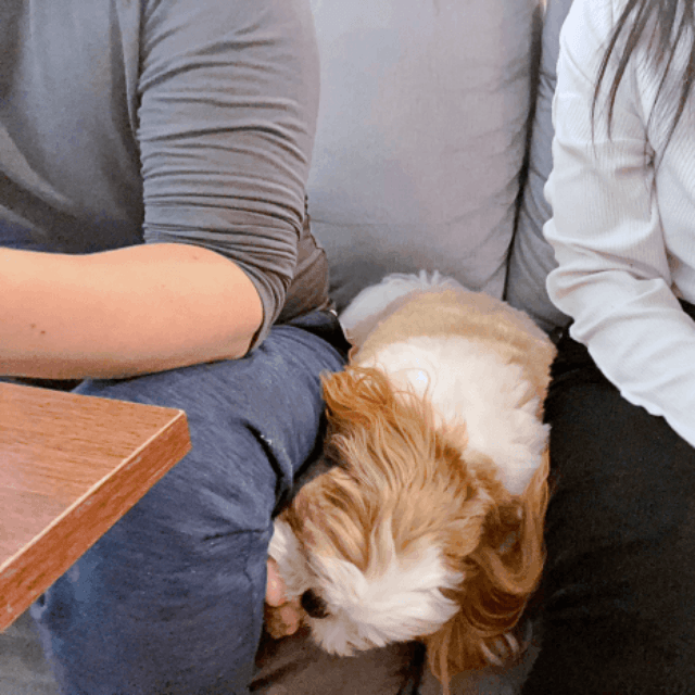 パパとママのあいだに入り込んだぽこちゃん（画像提供：ぽこさん）