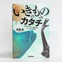 『いきもののカタチ 続・波紋と螺旋とフィボナッチ――多彩なデザインを創り出すシンプルな法則』