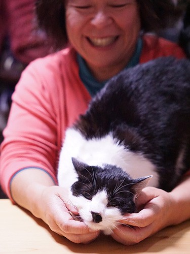 「老猫２匹を迎えた時は、一緒に年取るんだなと思ったけど、こんな若い子が来たから自分も元気でいないと」と早苗さん