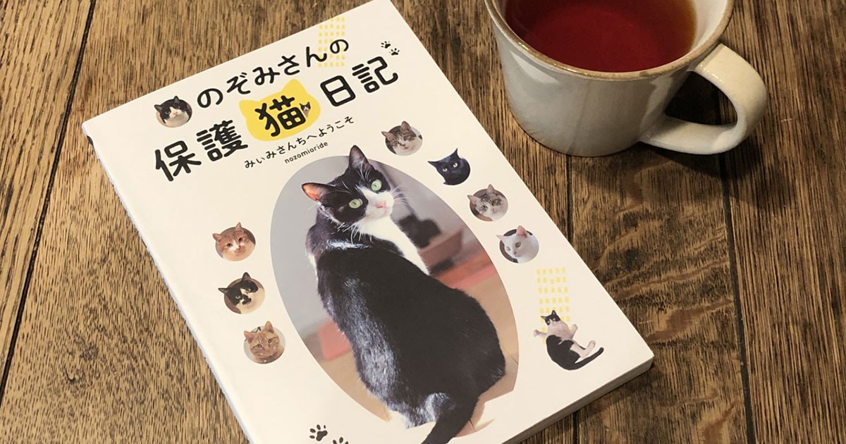 飼い猫８匹、保護した猫は100匹以上！ 癒やしの人気インスタ投稿１万回が１冊に | 犬・猫との幸せな暮らしのためのペット情報サイト「sippo」