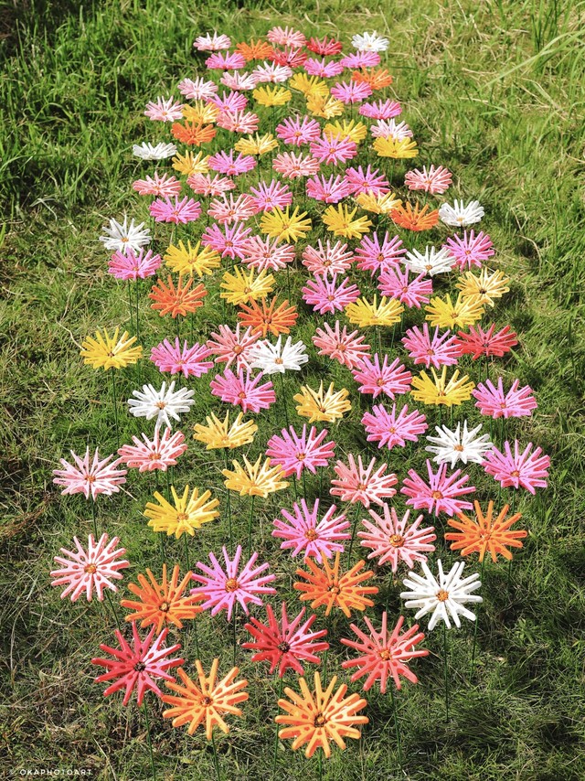 コスモス100本！洗濯バサミ800個使用　