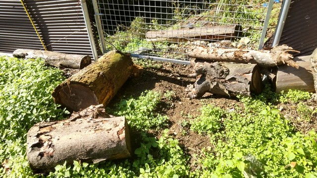 毎日塞いでも塞いでも…。