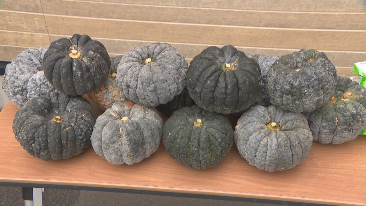 コロナ禍の生活困窮者へ「命をつないだカボチャ」などを寄付 岡山