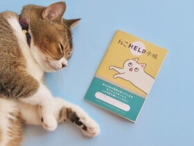 もしもの時、猫はどうなる？　飼い主の不安と向き合い生まれた「ねこHELP手帳」
