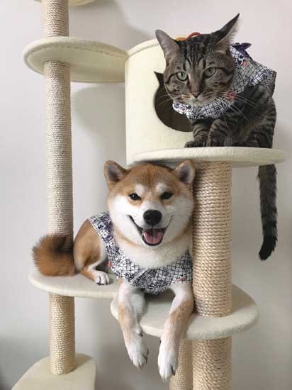 「最高」「楽しいね」（ぴあ提供）