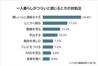 一人暮らしがつらいと感じるときの対処法（提供画像）