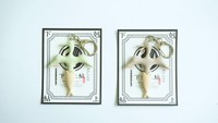 キーホルダーは受験のお守りにも　画像提供：玉井屋本舗