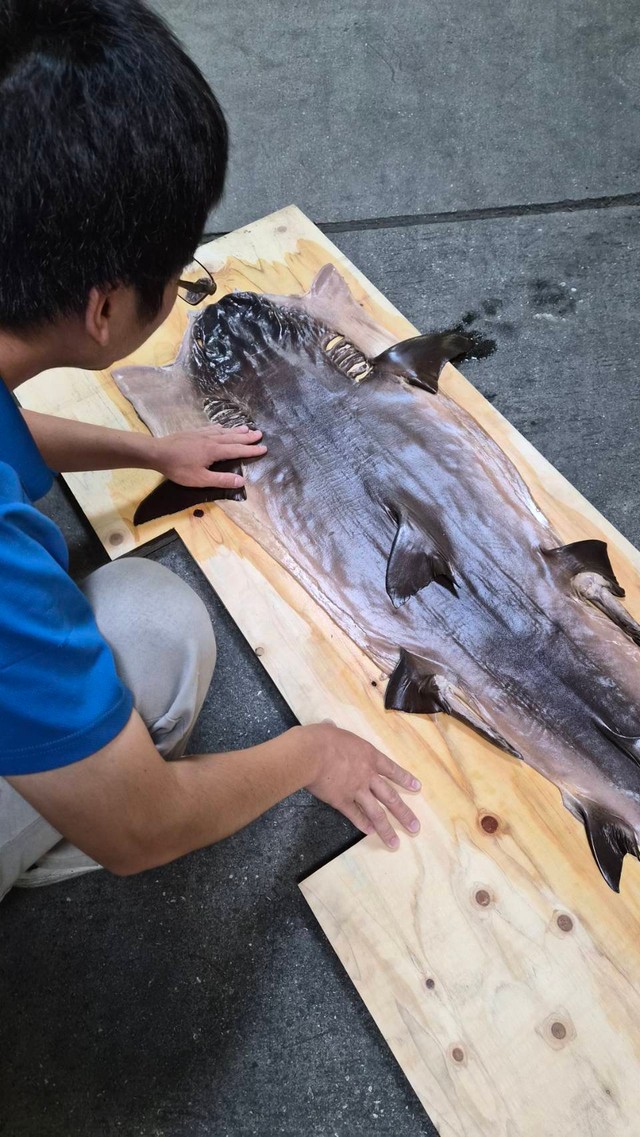 展示作品　作成の様子①
