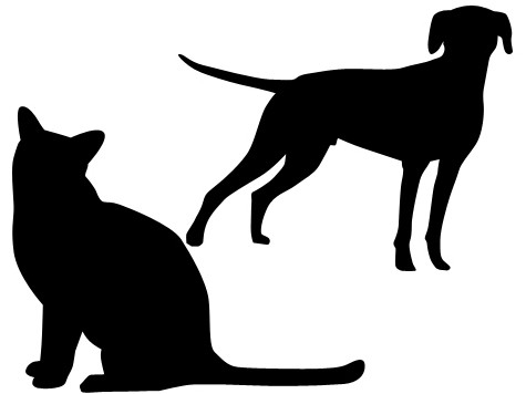 猫・犬から感染する感染症で、国内初の死亡例　国が注意喚起