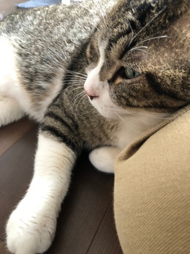 「ママのおひざって最高……生きていてよかったな」（かおりさん提供）