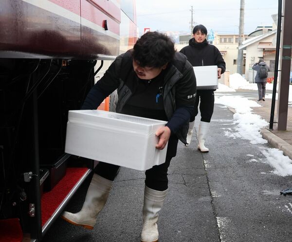 高速バスに間人ガニの入った箱を積み込む水産業者（宮津市鶴賀・宮津駅前）