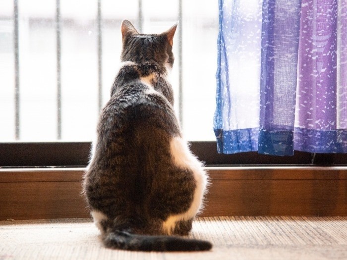 黄昏れてるんじゃなくて、幸せをかみしめてるの