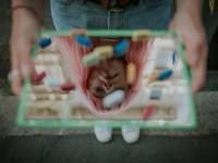 太った自分は嫌いじゃない。でも今の見た目では友達に会いたくない