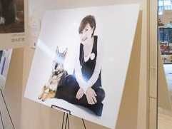 宇都宮でｓｉｐｐｏ特別写真展「みんなイヌ、みんなネコ」開幕