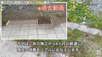 カインズの「撒くだけで防草できる人工砂」を施工してから6カ月が経過したリアルをお伝え／しかちゃんねる【庭づくりDIY】さん（@しかちゃんねる-b4d）提供