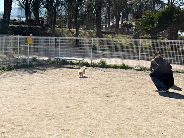 ベンチのそばで右往左往するポメちゃん（画像提供：ﾅ゛さん）