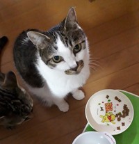 泣きながら、生前の写真を眺める日々だった