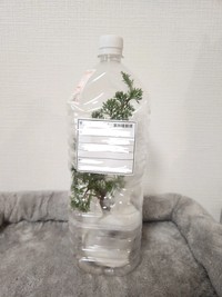 郵便屋さんが苦笑いで手渡した“ペットボトル”／pote.520627さん（@pote.520627）提供