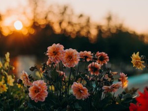 もしあのとき、喧嘩ができていたら私たちは今も一緒に夢を見られた？