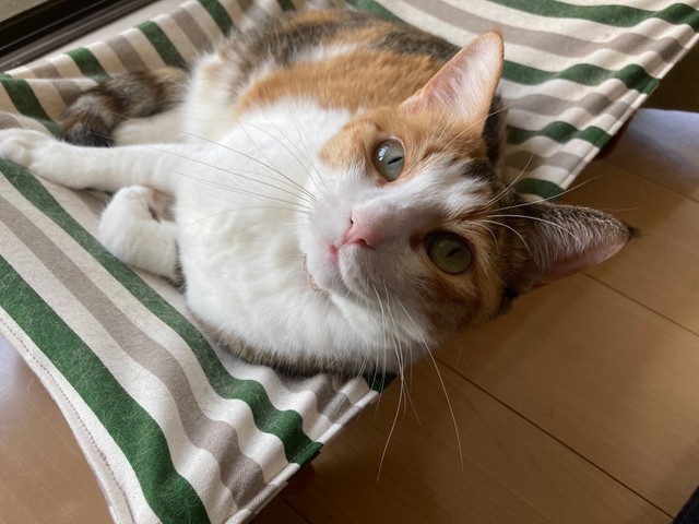 「今日もゼミがあるでしょ？！」（提供写真）