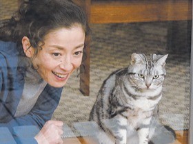 映画監督 犬童一心と猫　 里親はどこに